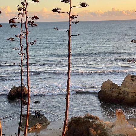 Apartamento Da Avo Te - Em Frente A Praia C Piscina Portimão Exteriér fotografie