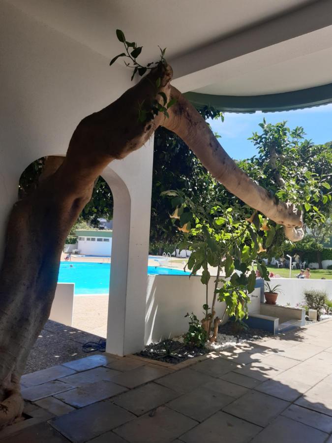 Apartamento Da Avo Te - Em Frente A Praia C Piscina Portimão Exteriér fotografie