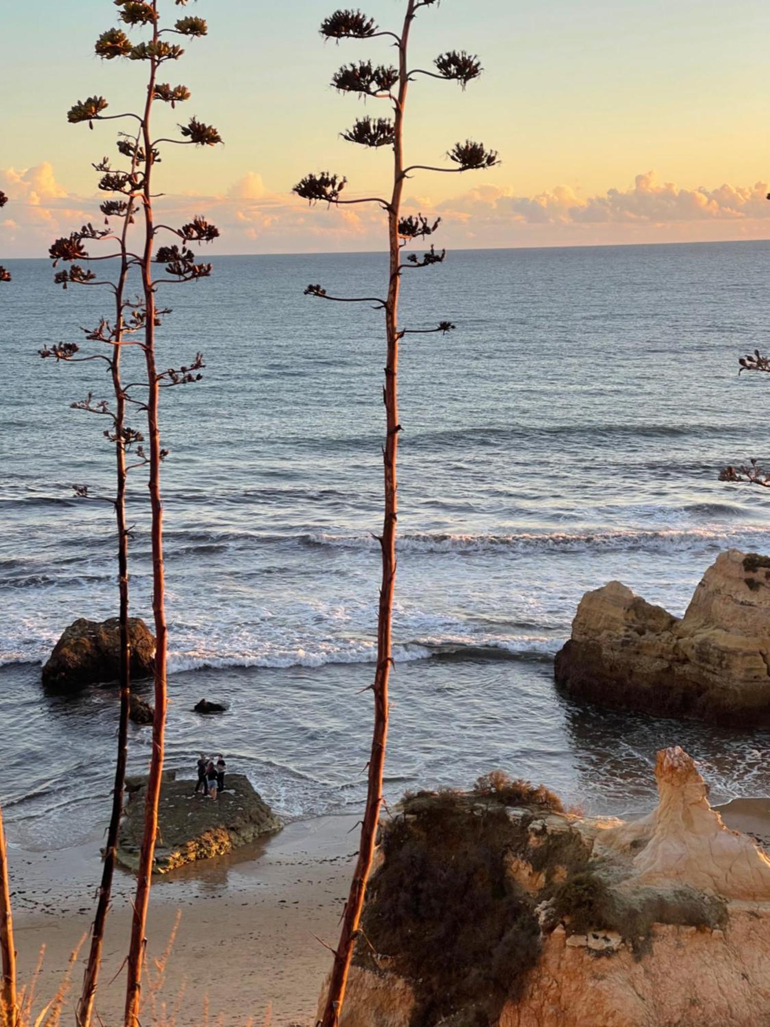 Apartamento Da Avo Te - Em Frente A Praia C Piscina Portimão Exteriér fotografie